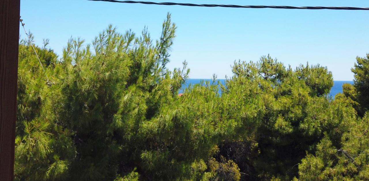 Fistiki Rooms Agia Marina  Екстер'єр фото