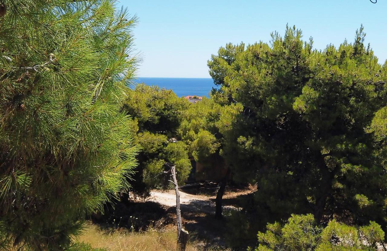 Fistiki Rooms Agia Marina  Екстер'єр фото