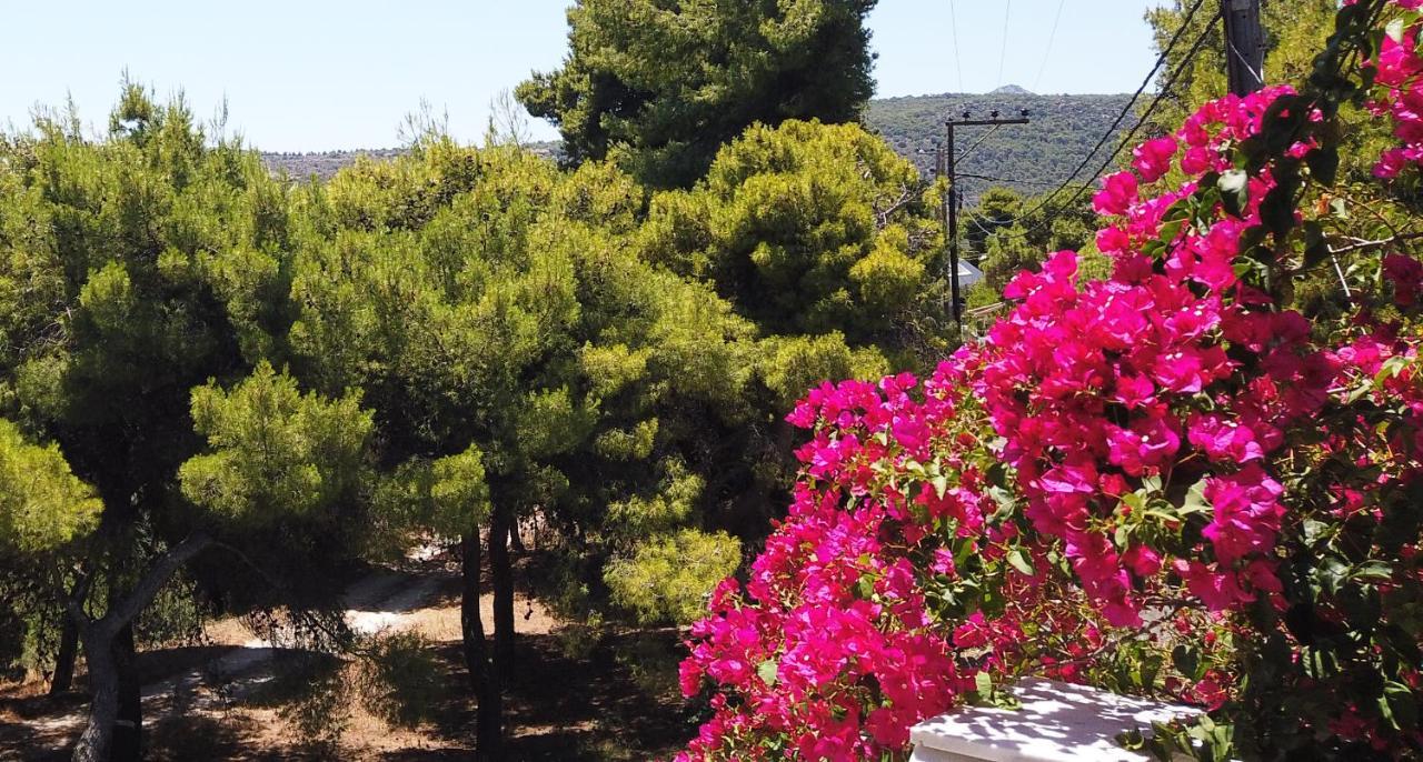 Fistiki Rooms Agia Marina  Екстер'єр фото